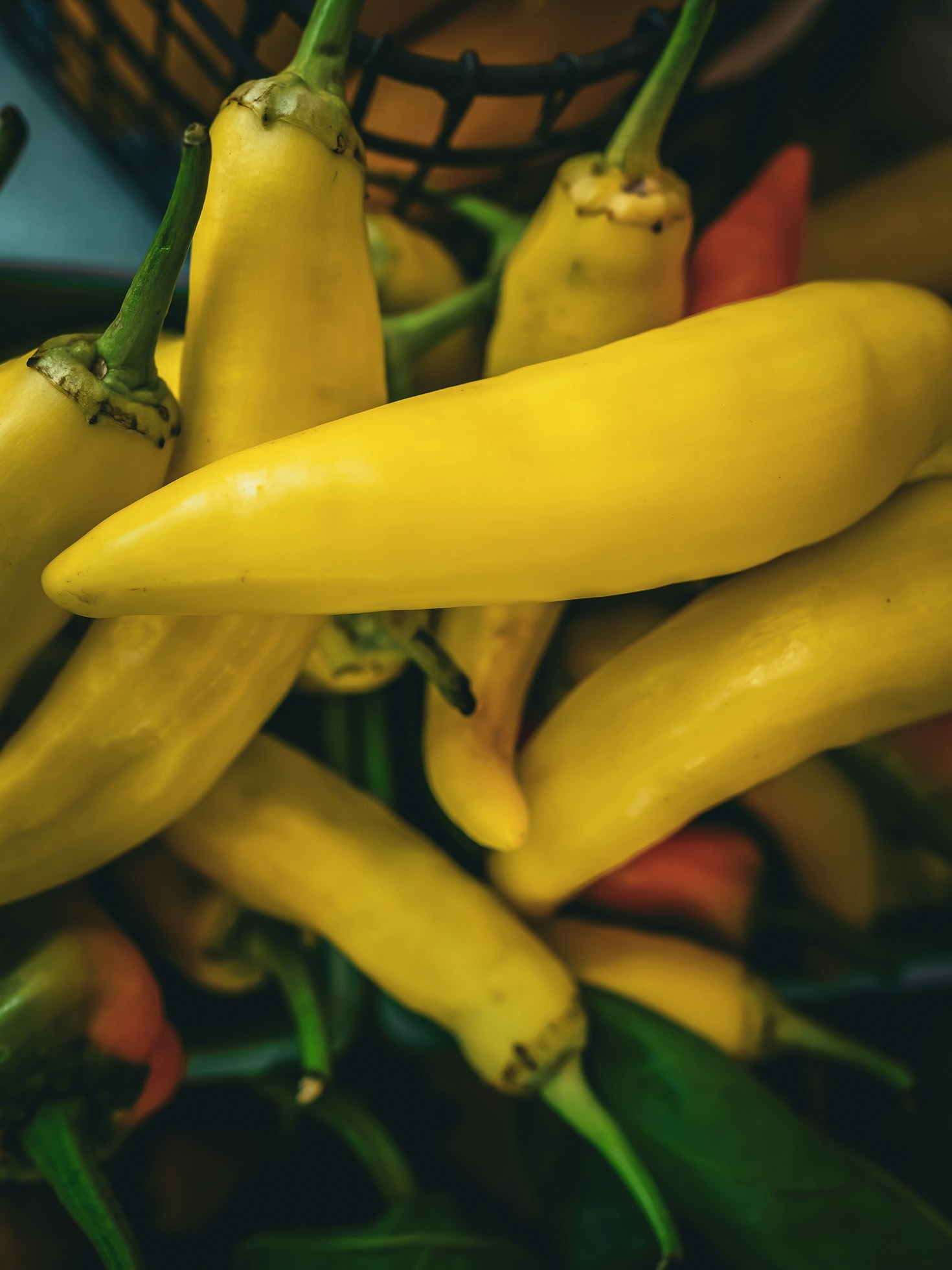 Why Organic Foods Are the Key to a Healthier Tomorrow