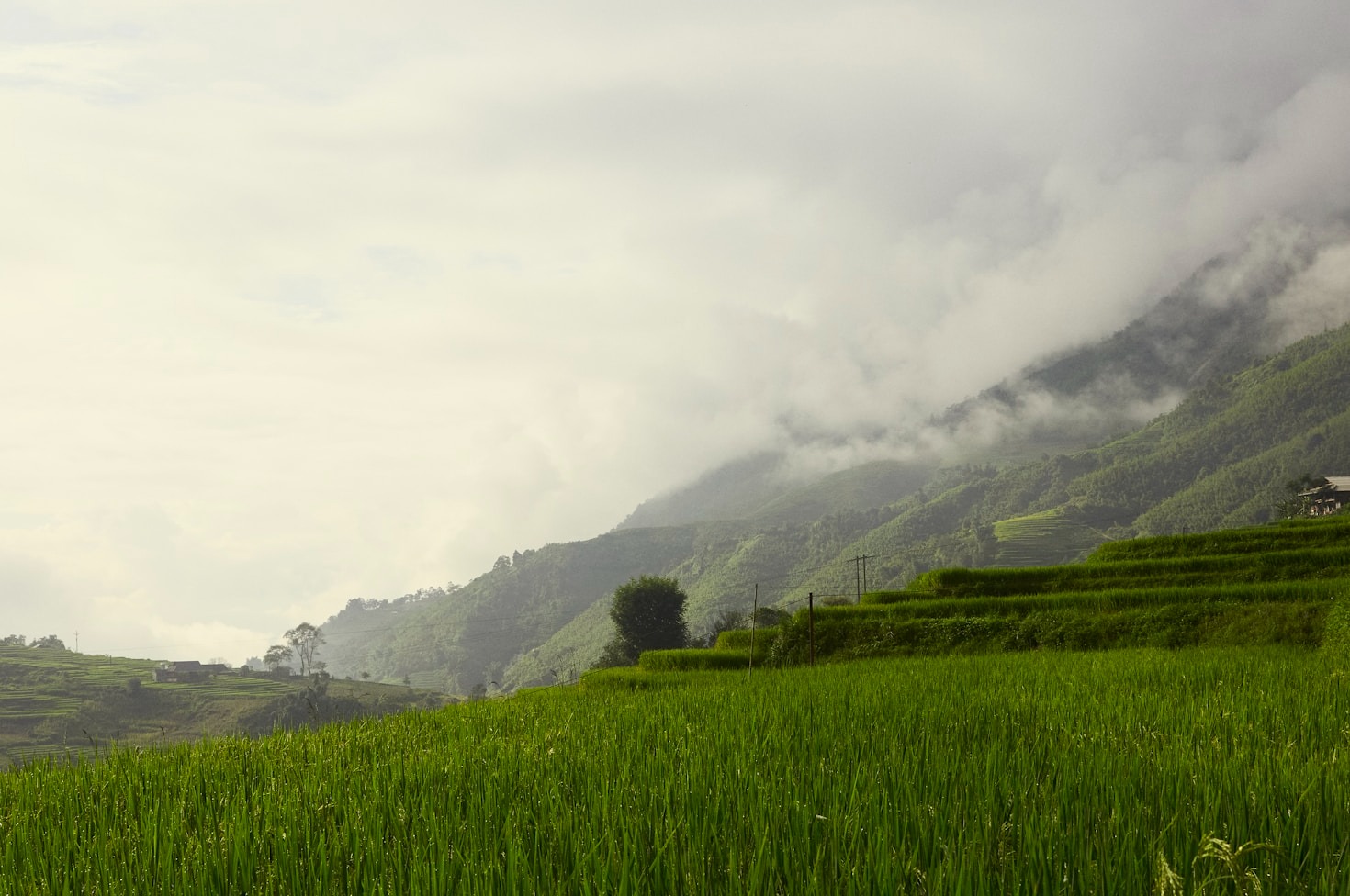 Integrating Innovation and Ethics in Modern Agriculture