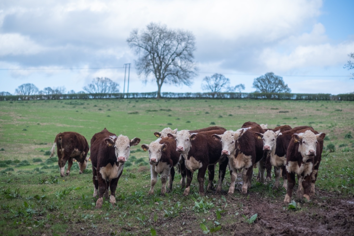 A Day in the Life of Sustainable Farming at Magura Agriculture Park