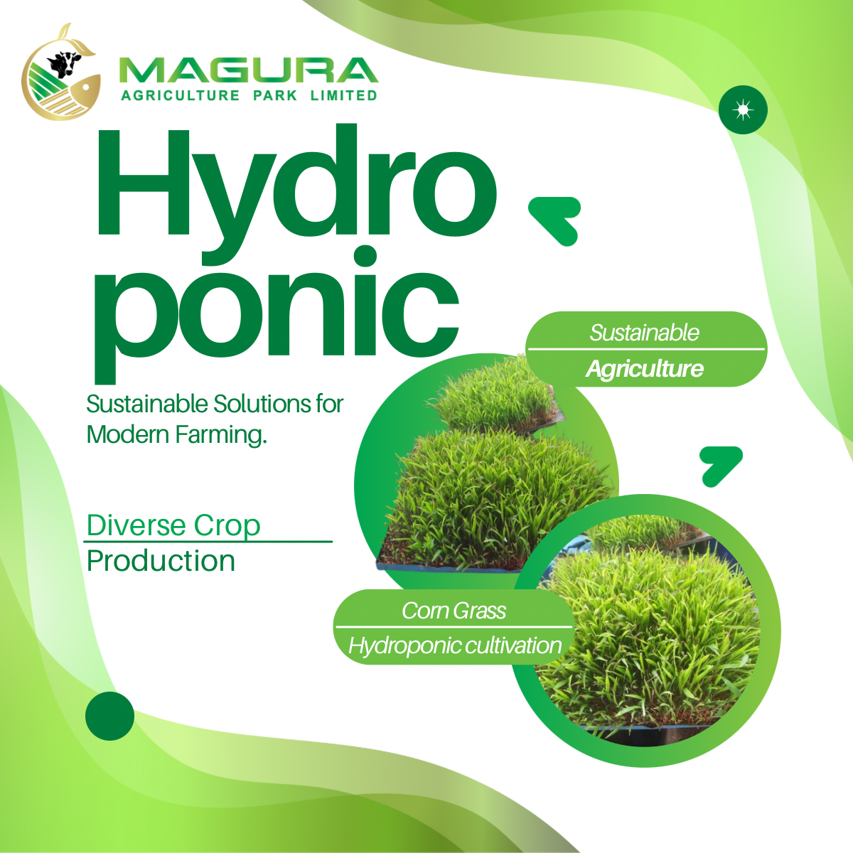 7 Powerful Ways Ethical Hydroponic Farming Improves Agriculture