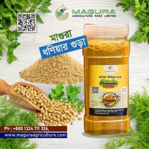 Kacchi Organic Coriander Powder
