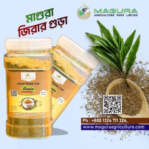 Organic Cumin Powder