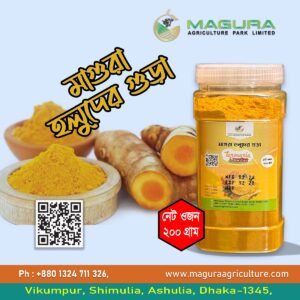 Organic Turmeric Powder