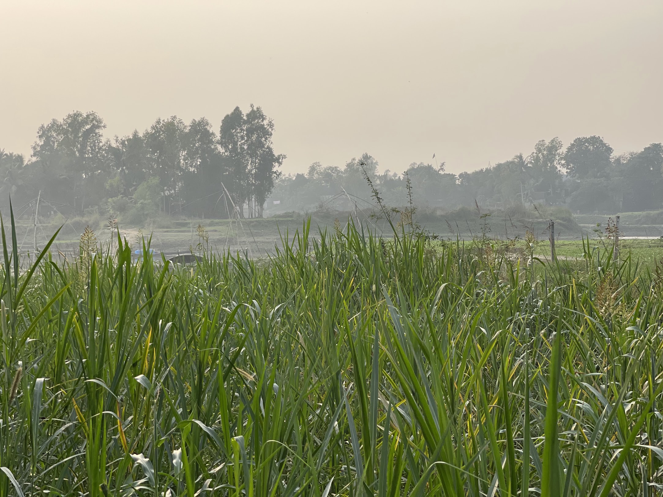A soulful vivid look at MAPL’s renewed and thriving farm life